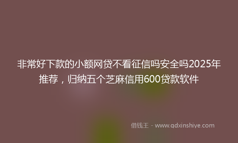非常好下款的小额网贷不看征信吗安全吗2025年推荐，归纳五个芝麻信用600贷款软件