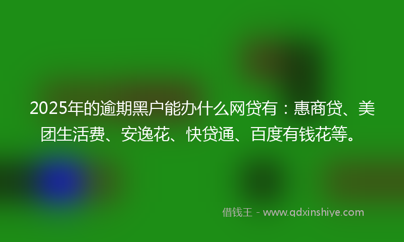 2025年的逾期黑户能办什么网贷有：惠商贷、美团生活费、安逸花、快贷通、百度有钱花等。