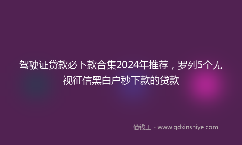 驾驶证贷款必下款合集2024年推荐，罗列5个无视征信黑白户秒下款的贷款