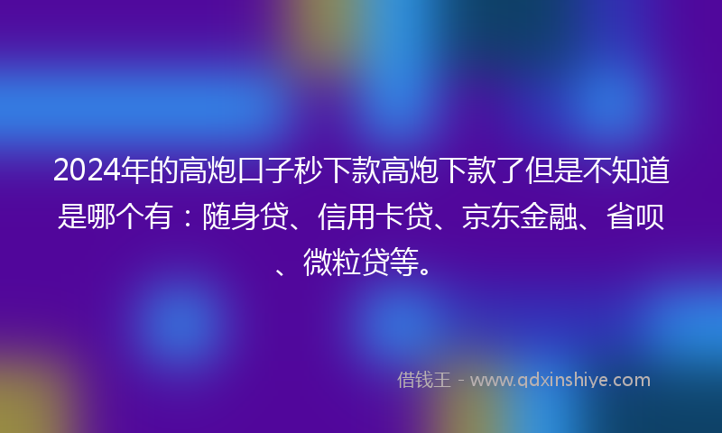 2024年的高炮口子秒下款高炮下款了但是不知道是哪个有：随身贷、信用卡贷、京东金融、省呗、微粒贷等。