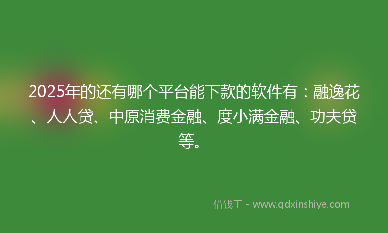 2025年的还有哪个平台能下款的软件有：融逸花、人人贷、中原消费金融、度小满金融、功夫贷等。