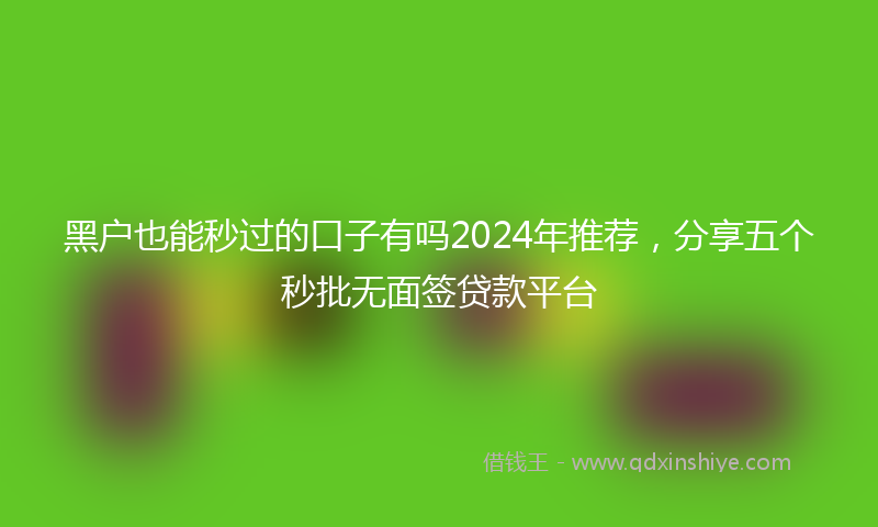 黑户也能秒过的口子有吗2024年推荐，分享五个秒批无面签贷款平台