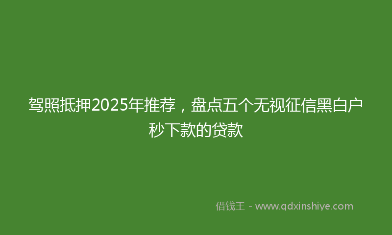 驾照抵押2025年推荐，盘点五个无视征信黑白户秒下款的贷款