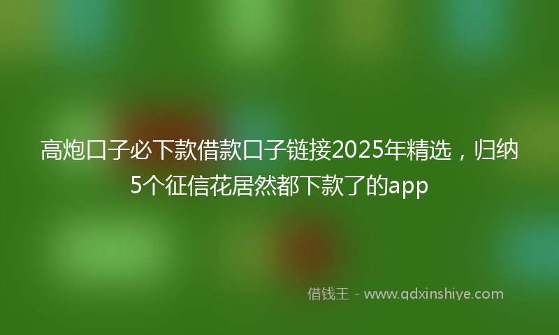 高炮口子必下款借款口子链接2025年精选，归纳5个征信花居然都下款了的app