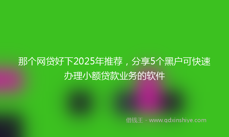 那个网贷好下2025年推荐，分享5个黑户可快速办理小额贷款业务的软件