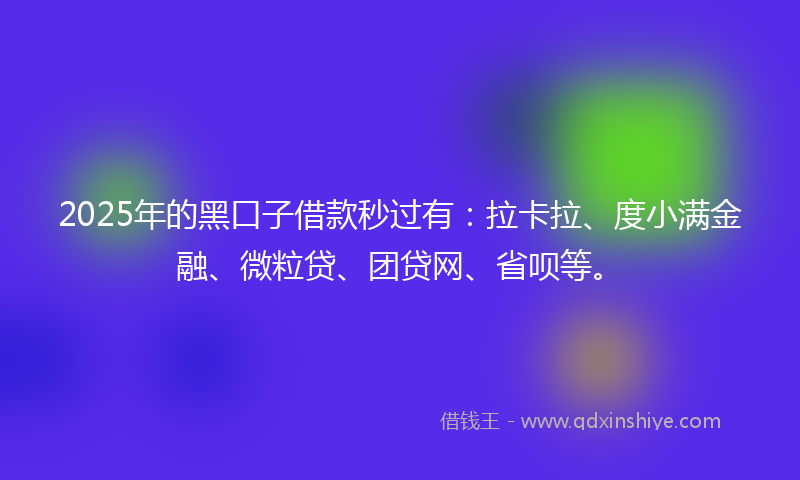 2025年的黑口子借款秒过有：拉卡拉、度小满金融、微粒贷、团贷网、省呗等。