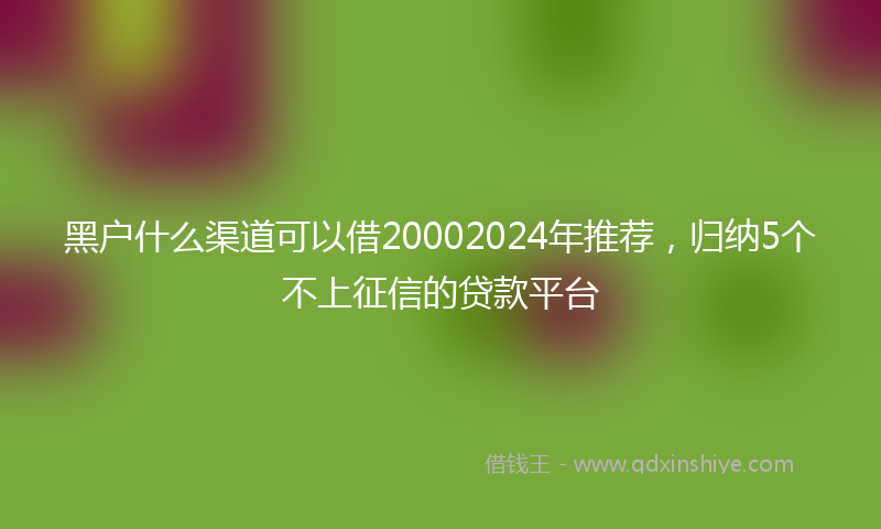 黑户什么渠道可以借20002024年推荐，归纳5个不上征信的贷款平台