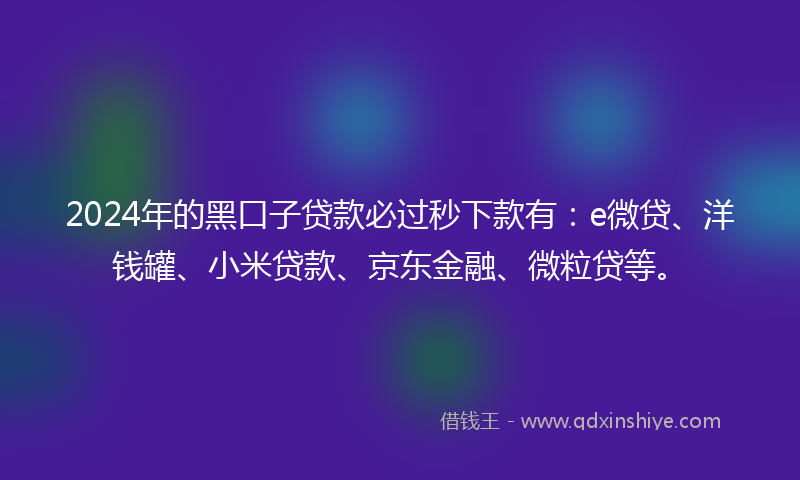 2024年的黑口子贷款必过秒下款有：e微贷、洋钱罐、小米贷款、京东金融、微粒贷等。