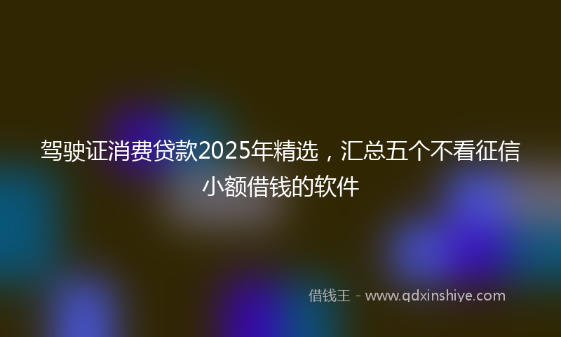 驾驶证消费贷款2025年精选，汇总五个不看征信小额借钱的软件