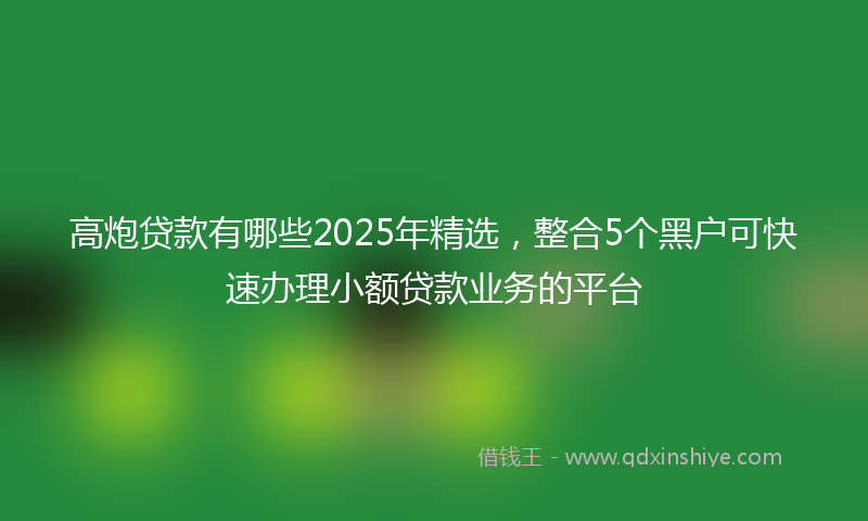 高炮贷款有哪些2025年精选，整合5个黑户可快速办理小额贷款业务的平台