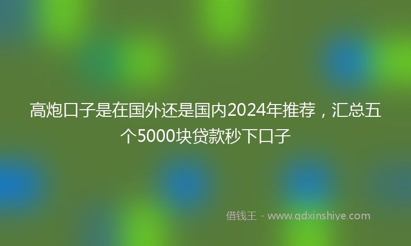 高炮口子是在国外还是国内2024年推荐，汇总五个5000块贷款秒下口子