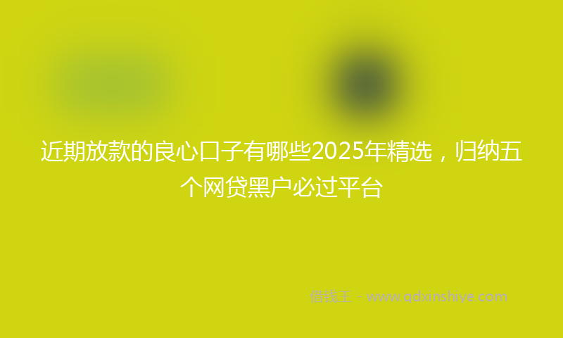 近期放款的良心口子有哪些2025年精选，归纳五个网贷黑户必过平台