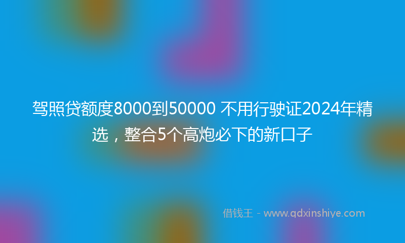 驾照贷额度8000到50000 不用行驶证2024年精选，整合5个高炮必下的新口子