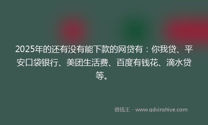 2025年的还有没有能下款的网贷有：你我贷、平安口袋银行、美团生活费、百度有钱花、滴水贷等。
