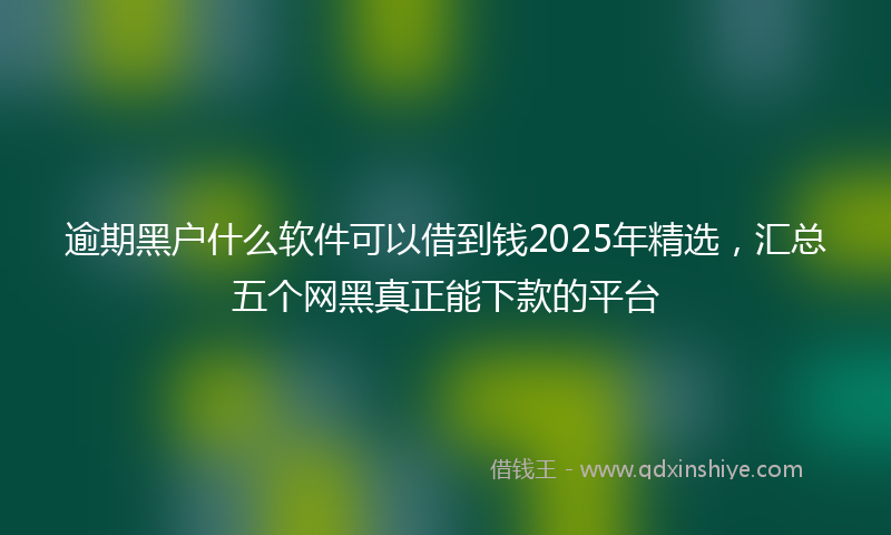 逾期黑户什么软件可以借到钱2025年精选，汇总五个网黑真正能下款的平台
