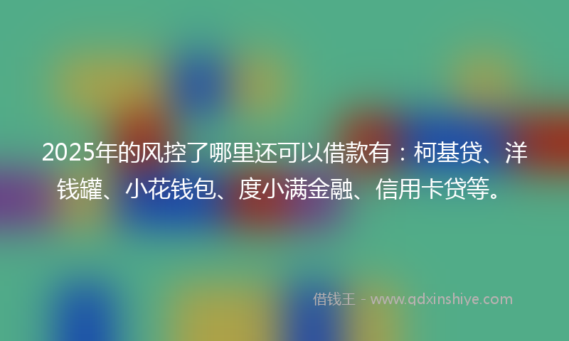 2025年的风控了哪里还可以借款有：柯基贷、洋钱罐、小花钱包、度小满金融、信用卡贷等。