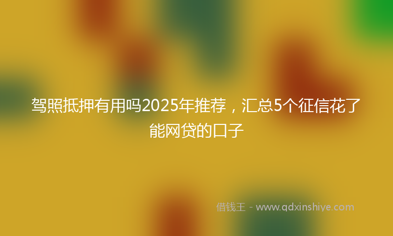 驾照抵押有用吗2025年推荐，汇总5个征信花了能网贷的口子