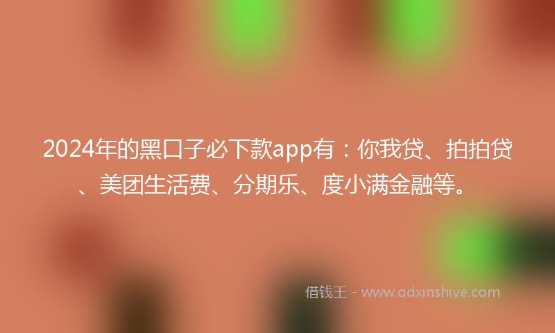 2024年的黑口子必下款app有：你我贷、拍拍贷、美团生活费、分期乐、度小满金融等。