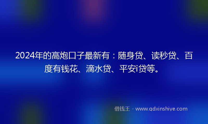 2024年的高炮口子最新有：随身贷、读秒贷、百度有钱花、滴水贷、平安i贷等。
