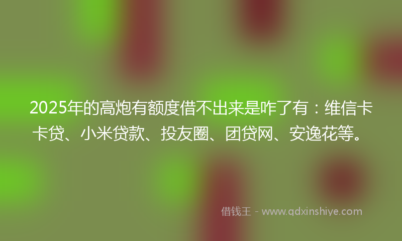 2025年的高炮有额度借不出来是咋了有：维信卡卡贷、小米贷款、投友圈、团贷网、安逸花等。