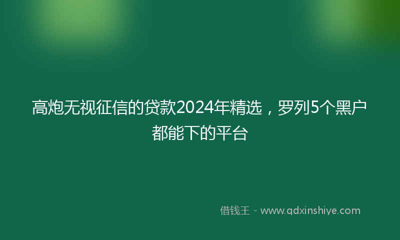 高炮无视征信的贷款2024年精选，罗列5个黑户都能下的平台