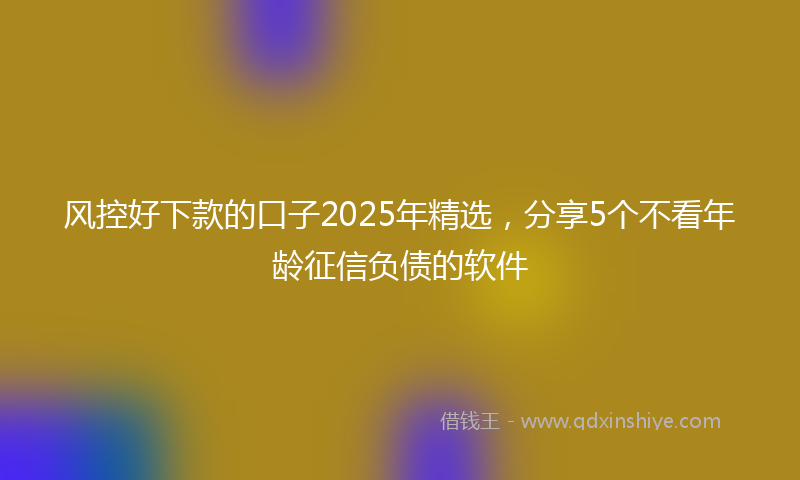 风控好下款的口子2025年精选，分享5个不看年龄征信负债的软件