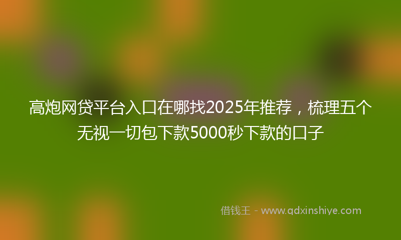 高炮网贷平台入口在哪找2025年推荐，梳理五个无视一切包下款5000秒下款的口子
