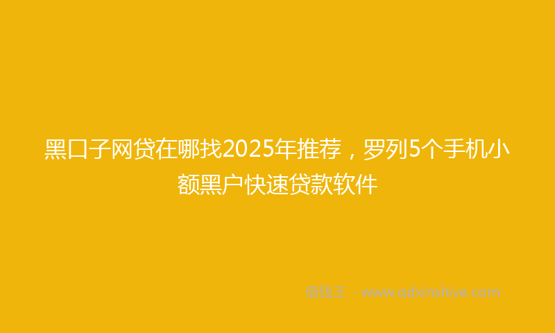 黑口子网贷在哪找2025年推荐，罗列5个手机小额黑户快速贷款软件
