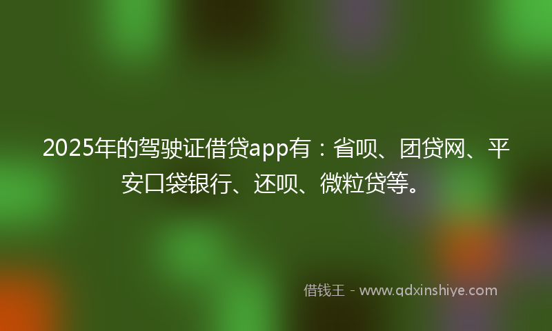 2025年的驾驶证借贷app有：省呗、团贷网、平安口袋银行、还呗、微粒贷等。
