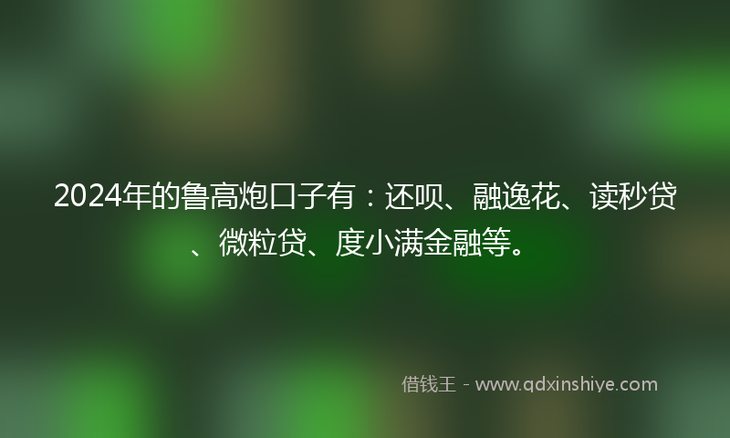 2024年的鲁高炮口子有：还呗、融逸花、读秒贷、微粒贷、度小满金融等。
