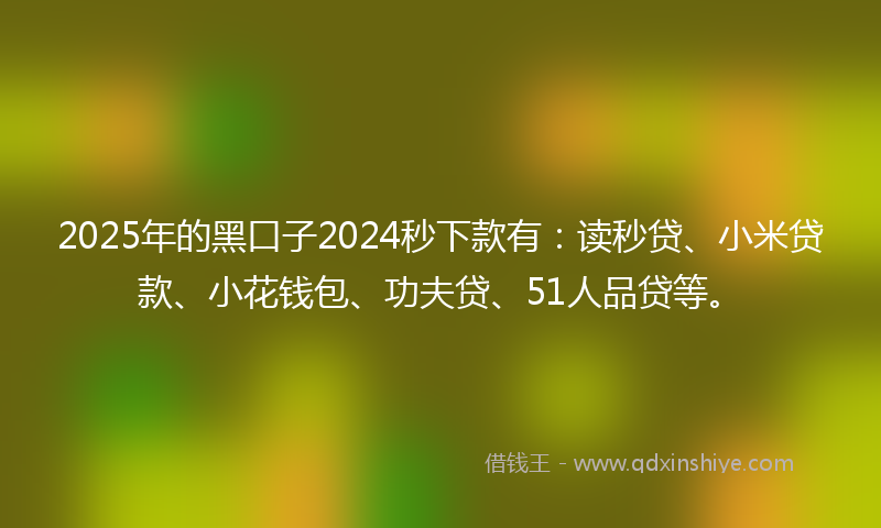 2025年的黑口子2024秒下款有：读秒贷、小米贷款、小花钱包、功夫贷、51人品贷等。