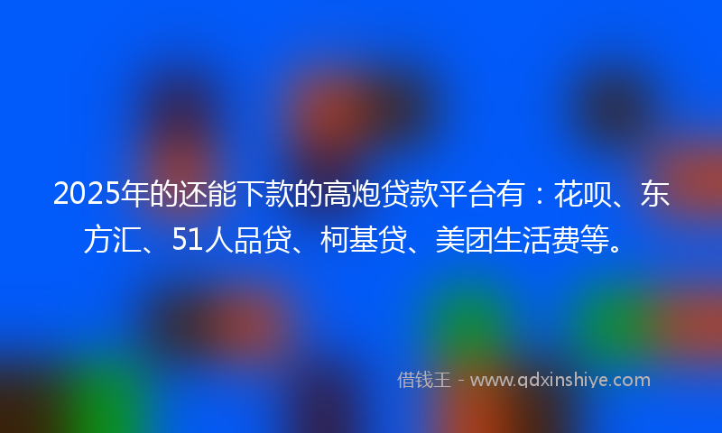 2025年的还能下款的高炮贷款平台有：花呗、东方汇、51人品贷、柯基贷、美团生活费等。