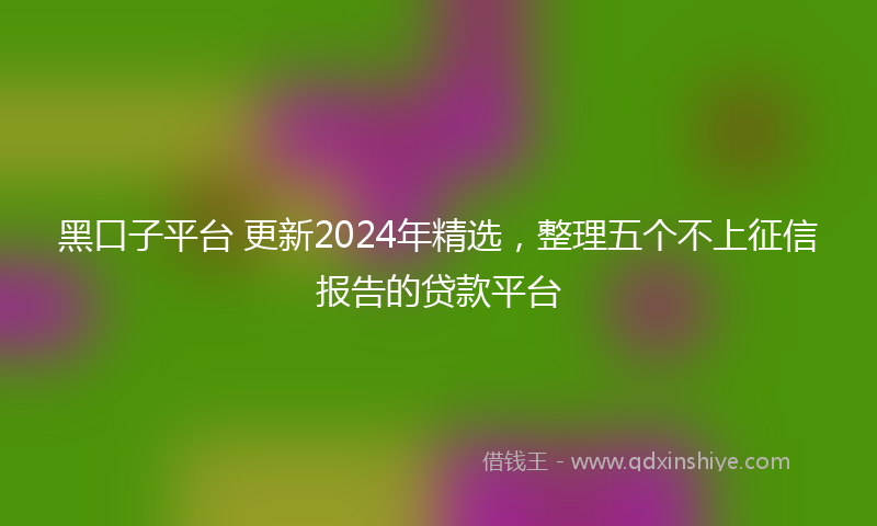 黑口子平台 更新2024年精选，整理五个不上征信报告的贷款平台