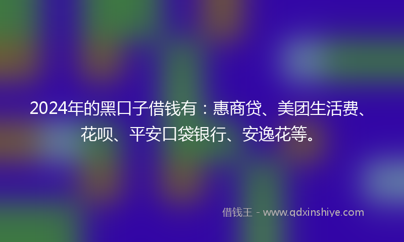 2024年的黑口子借钱有：惠商贷、美团生活费、花呗、平安口袋银行、安逸花等。