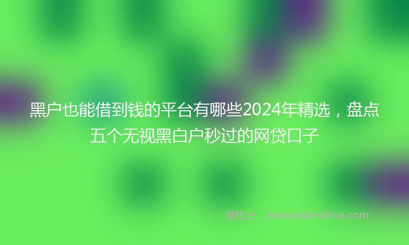 黑户也能借到钱的平台有哪些2024年精选，盘点五个无视黑白户秒过的网贷口子