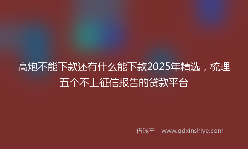 高炮不能下款还有什么能下款2025年精选，梳理五个不上征信报告的贷款平台