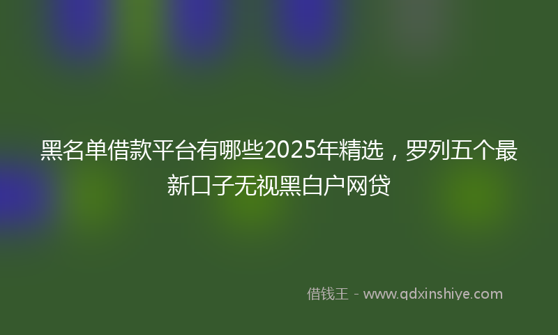 黑名单借款平台有哪些2025年精选，罗列五个最新口子无视黑白户网贷
