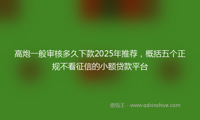 高炮一般审核多久下款2025年推荐，概括五个正规不看征信的小额贷款平台