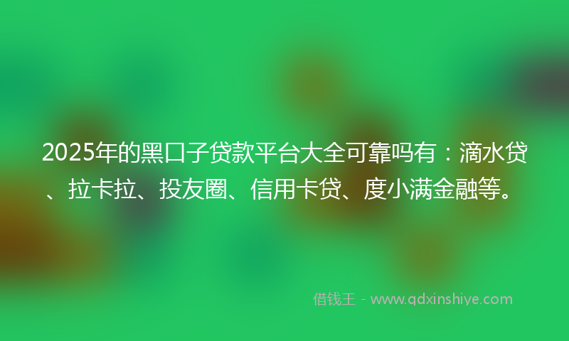 2025年的黑口子贷款平台大全可靠吗有：滴水贷、拉卡拉、投友圈、信用卡贷、度小满金融等。