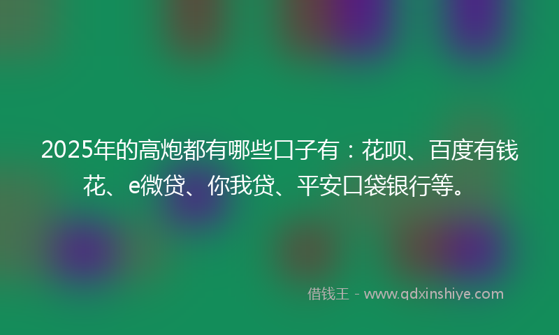 2025年的高炮都有哪些口子有：花呗、百度有钱花、e微贷、你我贷、平安口袋银行等。