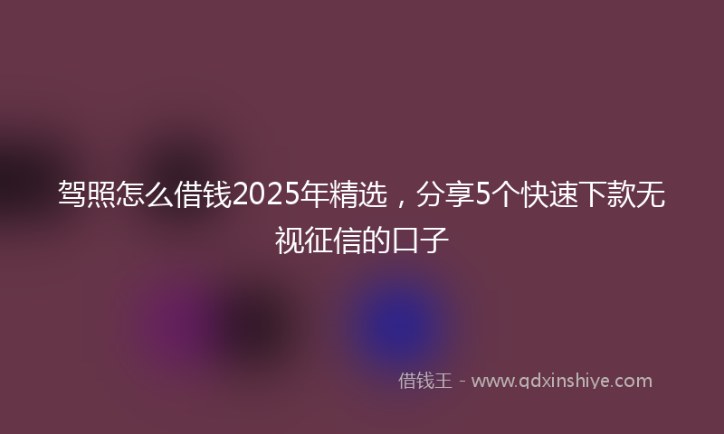 驾照怎么借钱2025年精选，分享5个快速下款无视征信的口子