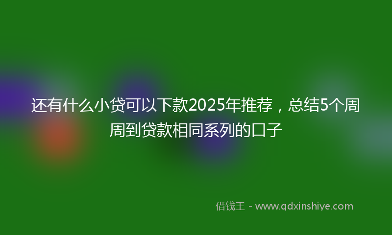 还有什么小贷可以下款2025年推荐，总结5个周周到贷款相同系列的口子