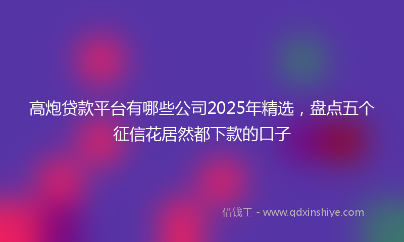 高炮贷款平台有哪些公司2025年精选，盘点五个征信花居然都下款的口子