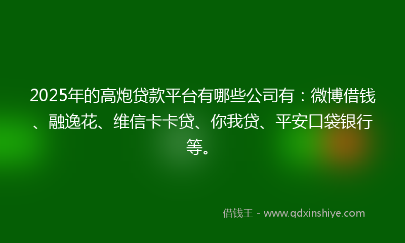 2025年的高炮贷款平台有哪些公司有：微博借钱、融逸花、维信卡卡贷、你我贷、平安口袋银行等。