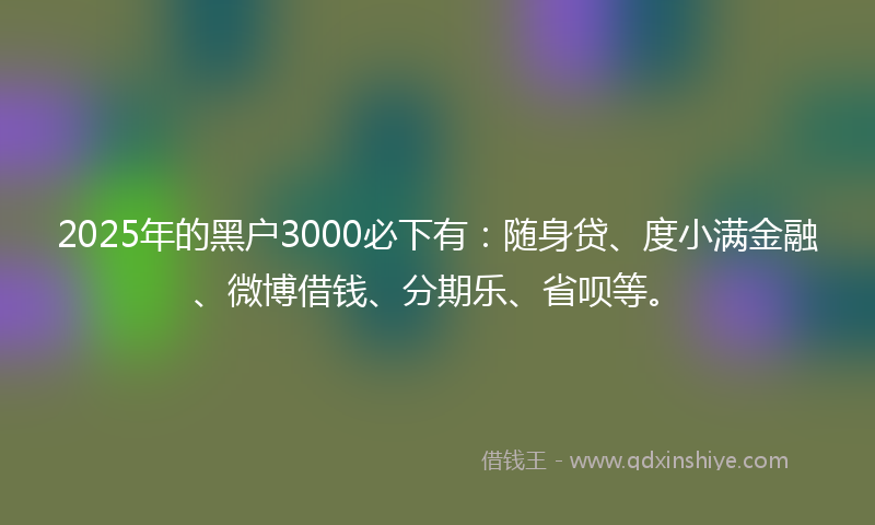 2025年的黑户3000必下有：随身贷、度小满金融、微博借钱、分期乐、省呗等。