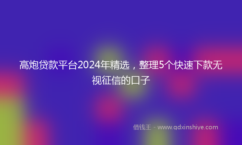 高炮贷款平台2024年精选，整理5个快速下款无视征信的口子