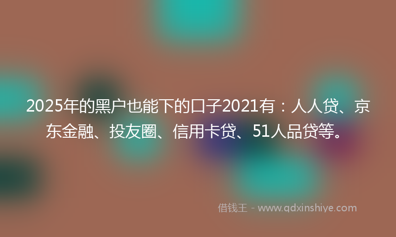 2025年的黑户也能下的口子2021有：人人贷、京东金融、投友圈、信用卡贷、51人品贷等。
