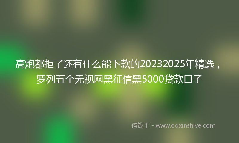 高炮都拒了还有什么能下款的20232025年精选，罗列五个无视网黑征信黑5000贷款口子