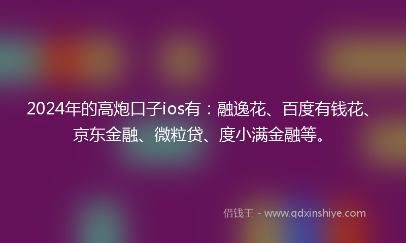 2024年的高炮口子ios有：融逸花、百度有钱花、京东金融、微粒贷、度小满金融等。