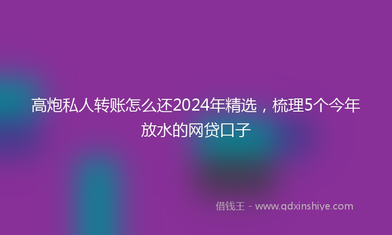 高炮私人转账怎么还2024年精选，梳理5个今年放水的网贷口子